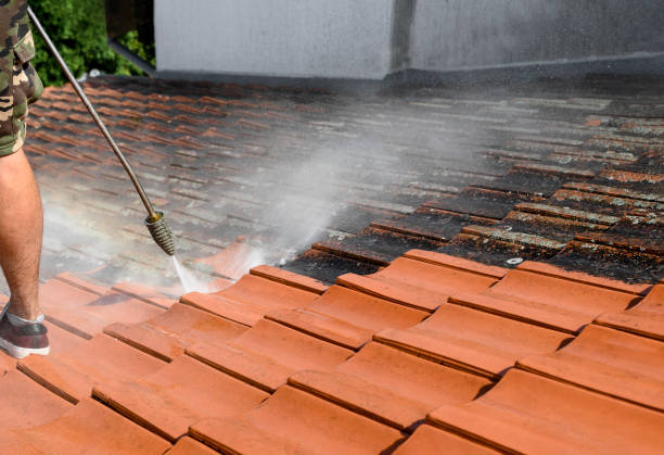 Best Pressure Washing Services Near Me  in Adairsville, GA