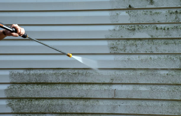 Best Pressure Washing Near Me  in Adairsville, GA