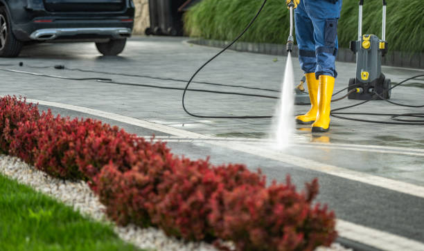 Best Roof Pressure Washing  in Adairsville, GA